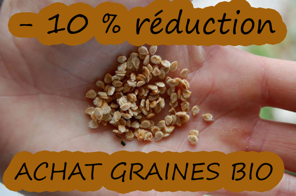Reduc graines