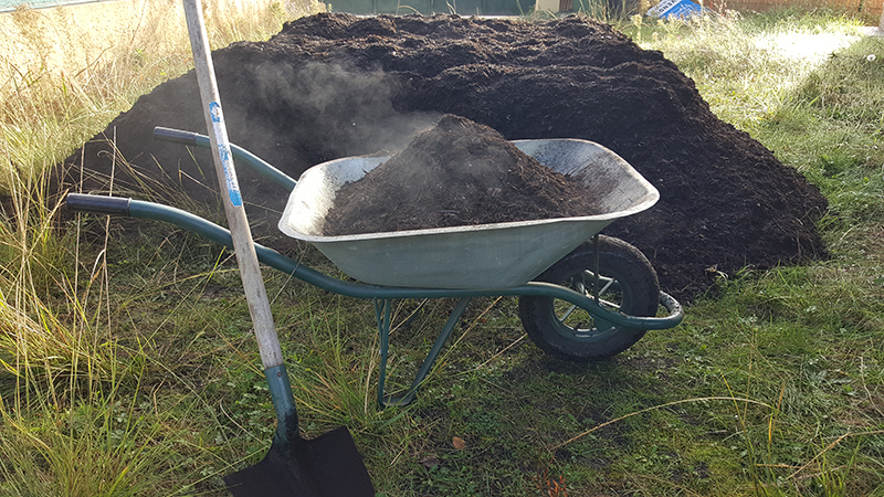 petit potager amender compost 2