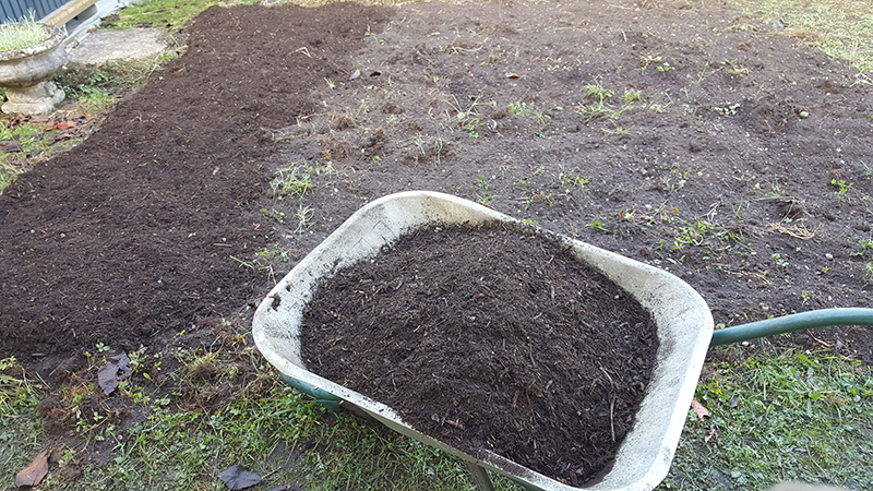 petit potager amender compost 3