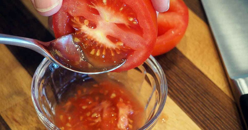 comment recolter graines tomates petit potager bio