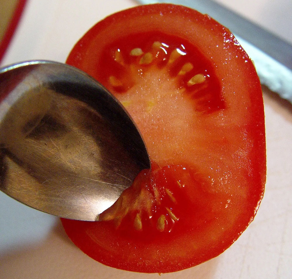 extraire graines tomates cuillere comment recolter graines tomates petit potager bio
