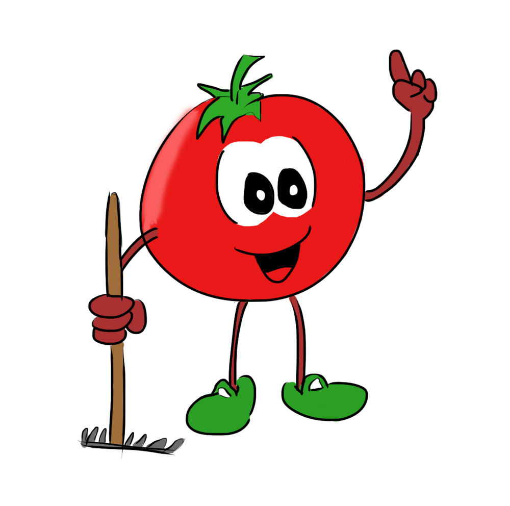 Tomate Personnage petit potager
